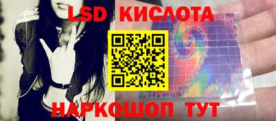 прущие грибы Можайск