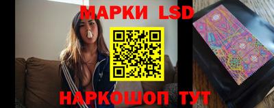 прущие грибы Можайск
