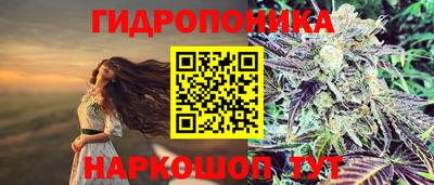 ALPHA-PVP Моздок