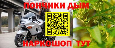 прущие грибы Можайск