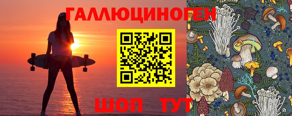 Солнечногорск  Галлюциногенные грибы мухоморы  Вход с VPN 