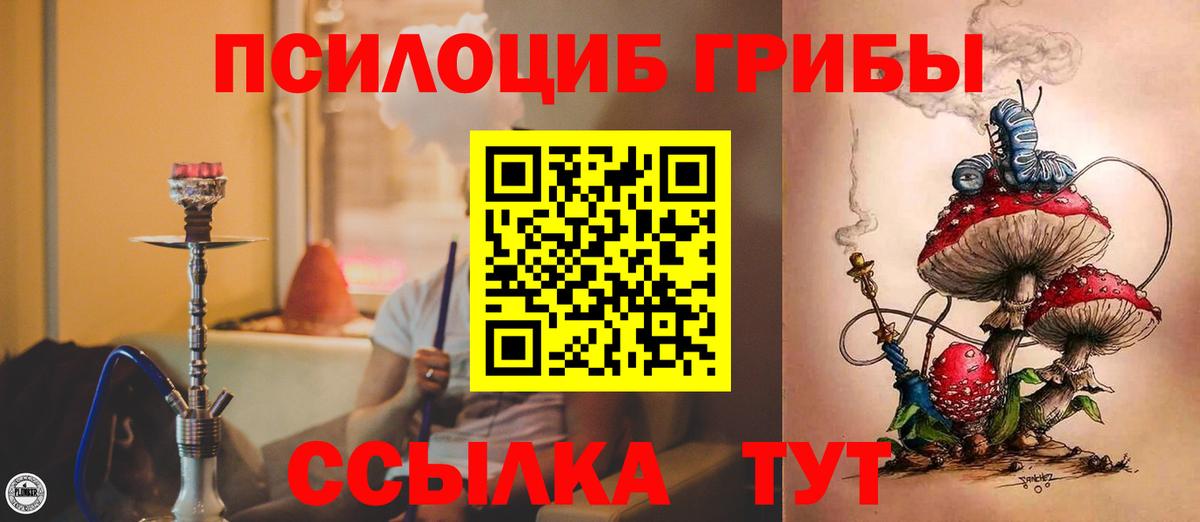 Псилоцибиновые грибы мухоморы Солнечногорск